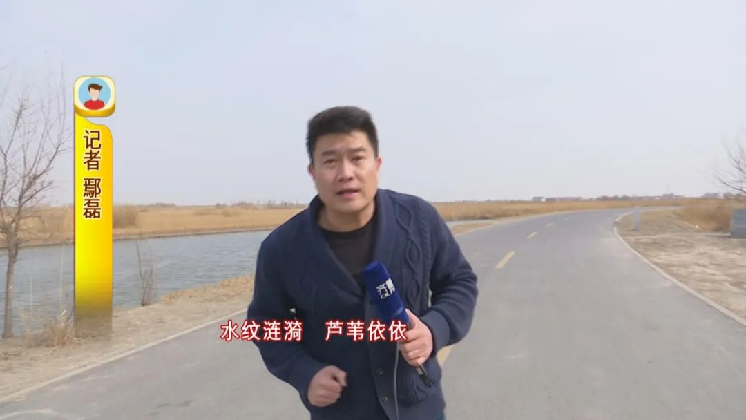 人勤春来早鄢磊下水塘看他如何在冷水淤泥中拔藕