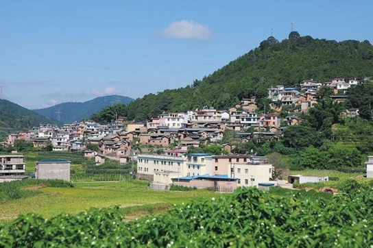 因远镇卡腊村是哈尼族聚居的山区村委会,辖8个村民小组,现有人口847户