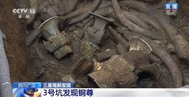 视频丨铜尊、方尊、铜人首，三星堆3号坑出土这些文物