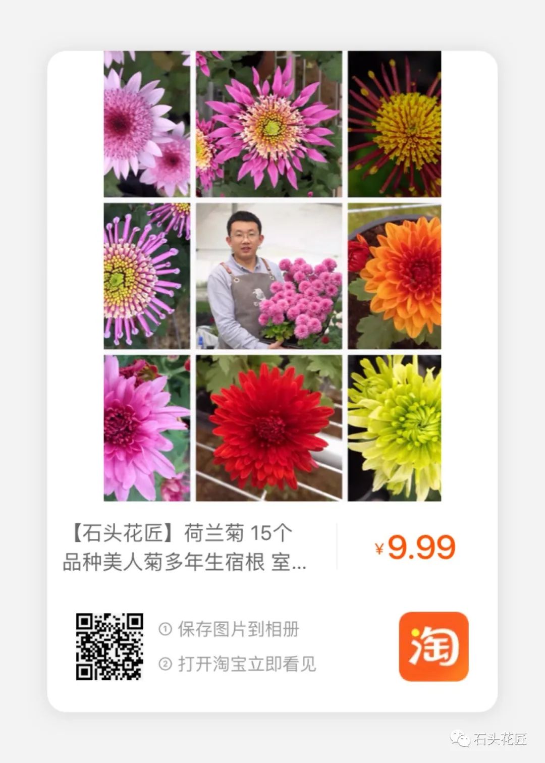 14个品种 高颜值 荷兰菊 春秋季都能开花 很多人都没见过 花洒 新浪新闻 14个品种 高颜值 荷兰菊 春秋季都能开花 很多人都没见过 花洒 新浪新闻