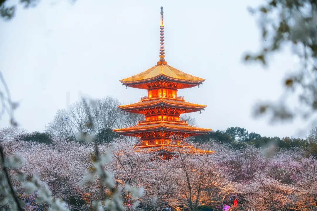 “重要里程碑”！