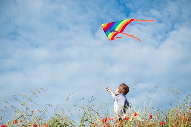 春分时节花草复苏踏青放风筝啦