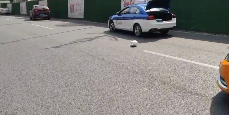 贵阳街头发生车祸，女子被撞头破血流！两男子马上停车……休闲区蓝鸢梦想 - Www.slyday.coM