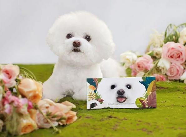 图片来源：微博@PerfectDiary完美日记