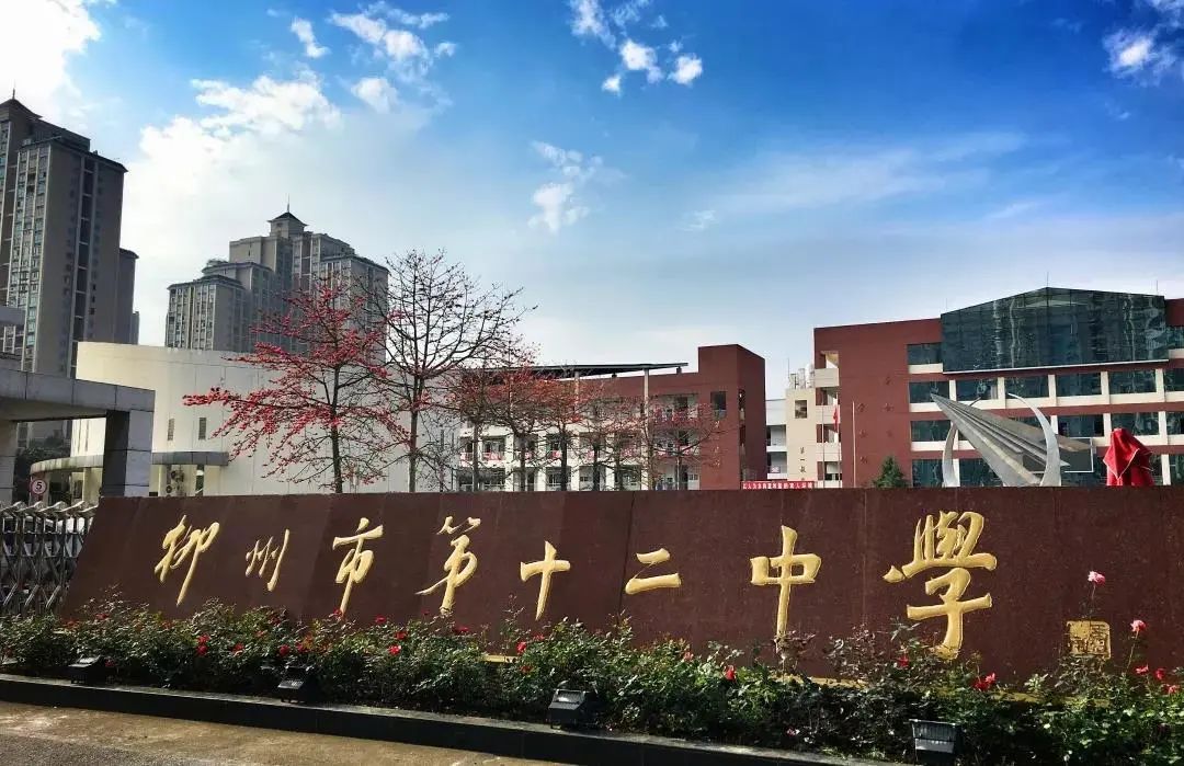 场面震撼热血沸腾柳州这所学校里的一幕感动了无数人