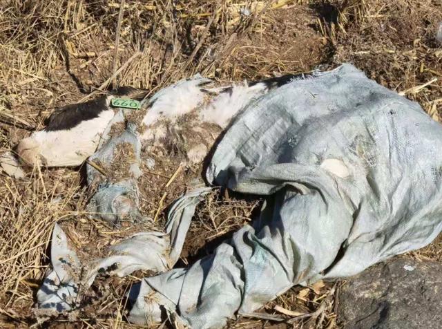 半月谈记者 刘懿德 摄