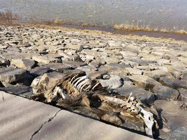 半月谈记者 刘懿德 摄