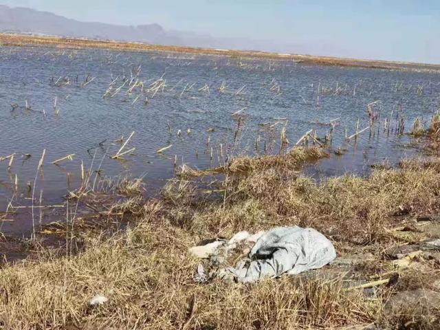 半月谈记者 刘懿德 摄