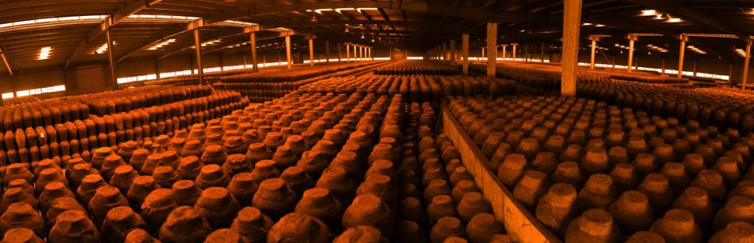 剑指高端黄酒打造中国好黄酒标杆同里红首度放开招商名额