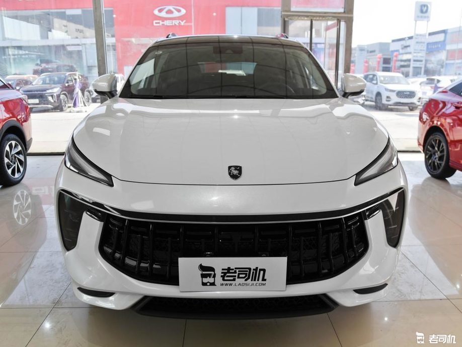 动感外观全新劲狮车标东风风行t5evo售1039万起