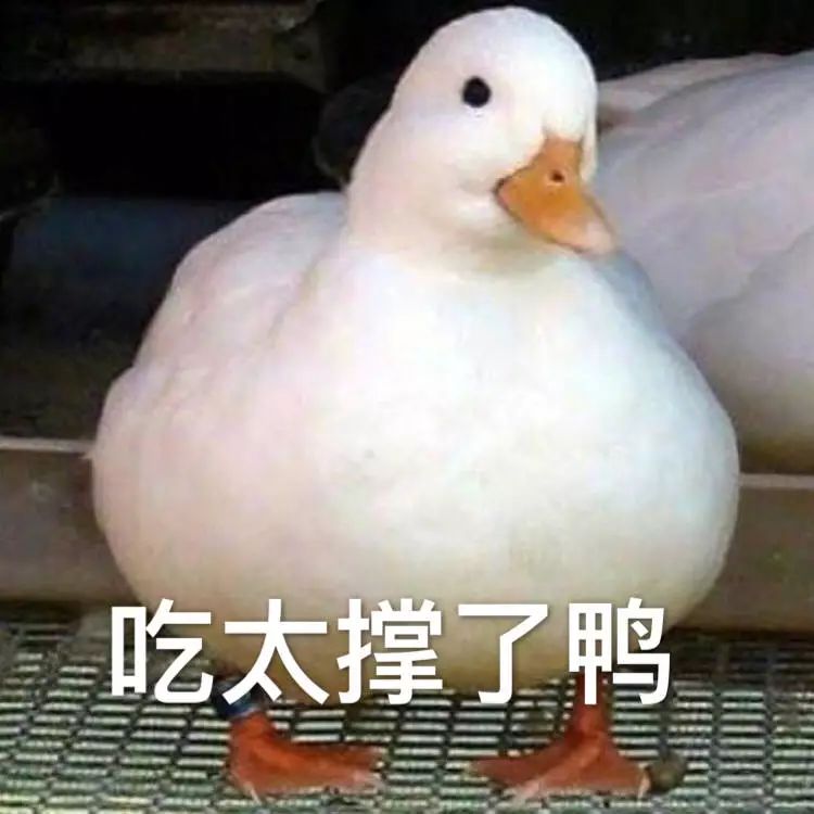 吃完饭就躺下对身体不好还变胖?|健康日历