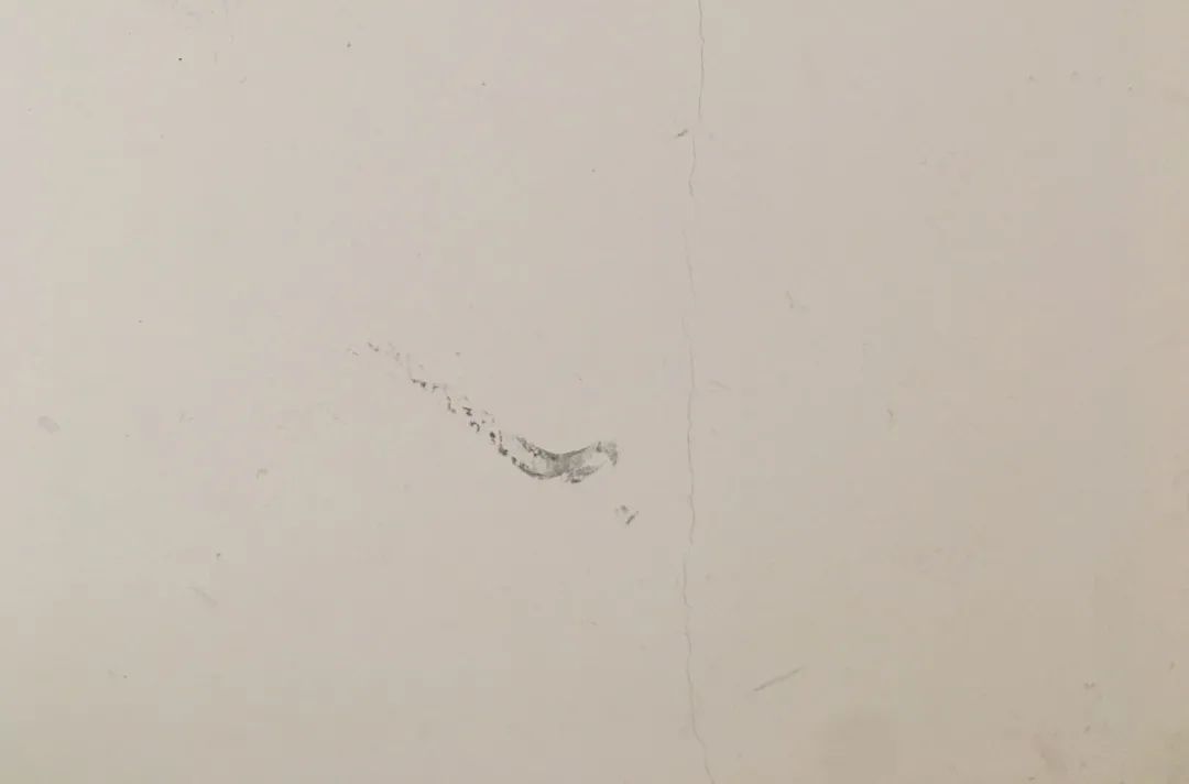 优秀改造分享丨3000元爆改出租屋，独居女生的温馨小窝休闲区蓝鸢梦想 - Www.slyday.coM