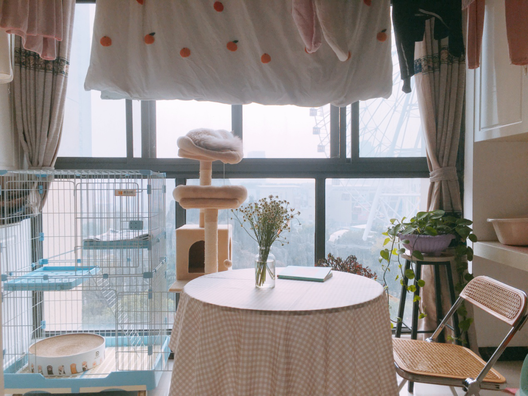 优秀改造分享丨3000元爆改出租屋，独居女生的温馨小窝休闲区蓝鸢梦想 - Www.slyday.coM