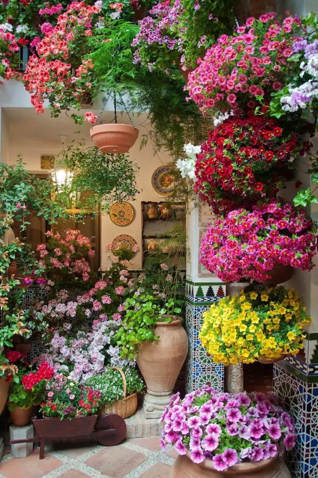 造花园小院儿,远离尘嚣,过上田园生活