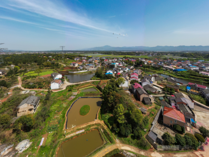 长沙"博士村"火了!走出26名博士,700 大学生,参观研学者络绎不绝