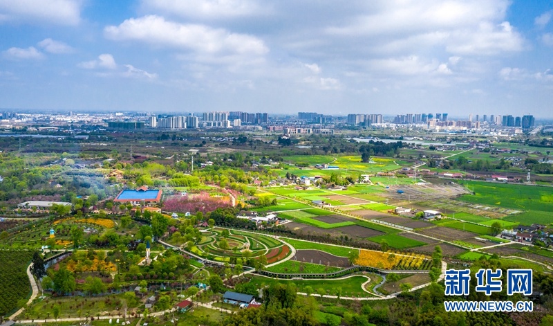 四川什邡:春意正浓 风景如画