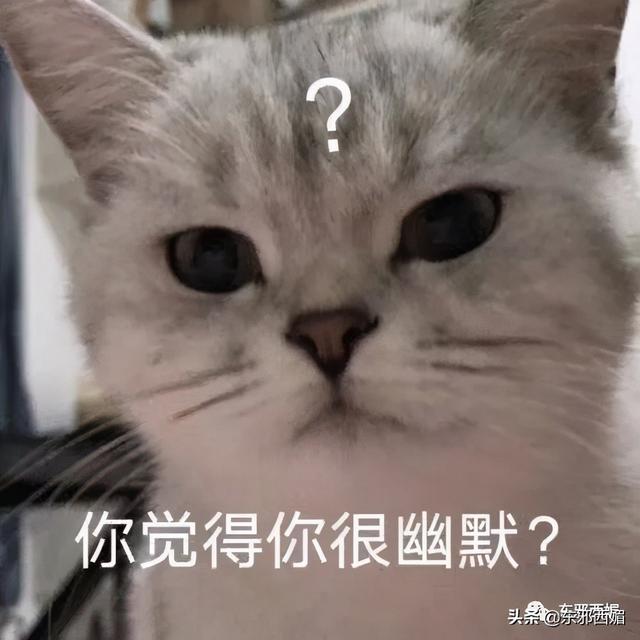 这么好的故事,白瞎了