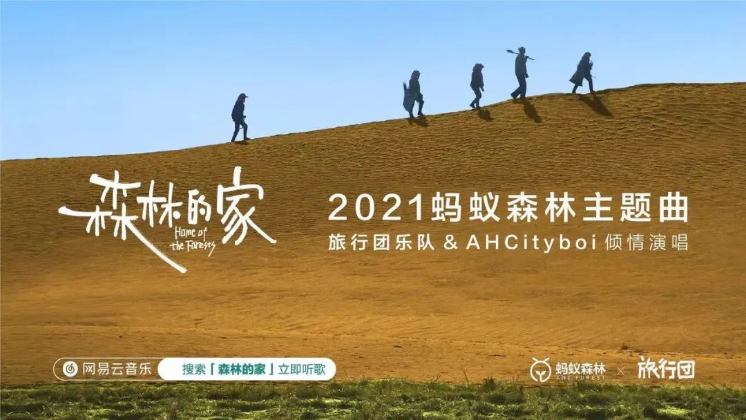 蚂蚁森林|森林|森林的家_新浪新闻