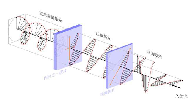 人类捕获首张黑洞照后又有新进展黑洞偏振图像发布