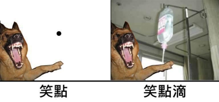 无奈之下只能说了实话:没办法,我笑点滴.