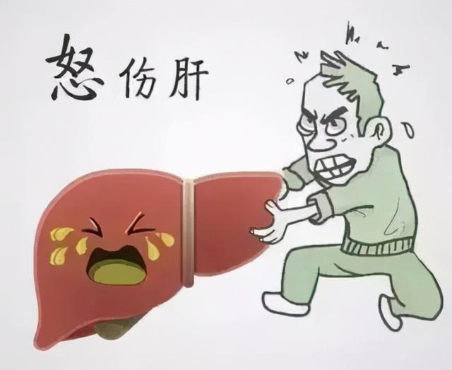 春季肝火旺怎样灭掉身体里的致病火专家教你这样做