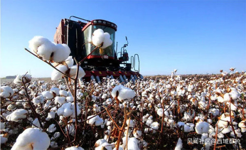 H＆M等国际品牌宣布禁用新疆棉产品，是谁给了他们勇气？休闲区蓝鸢梦想 - Www.slyday.coM