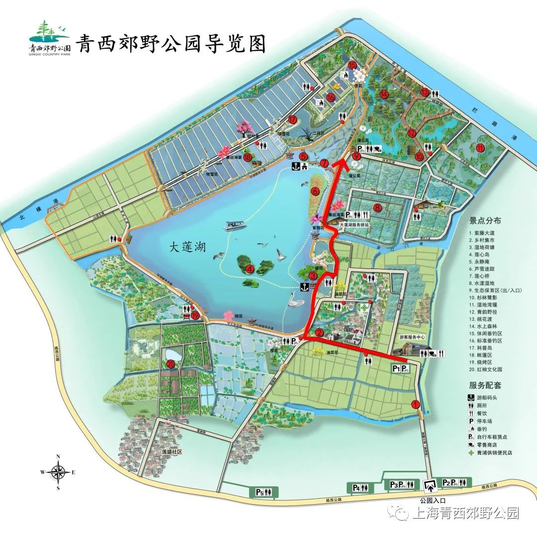 探索春游青西郊野公园两条路线体验各不同