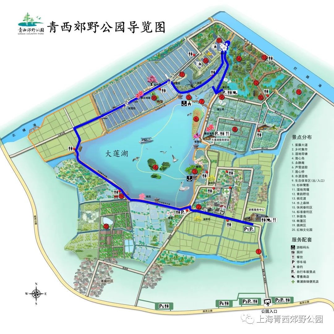 探索春游青西郊野公园两条路线体验各不同