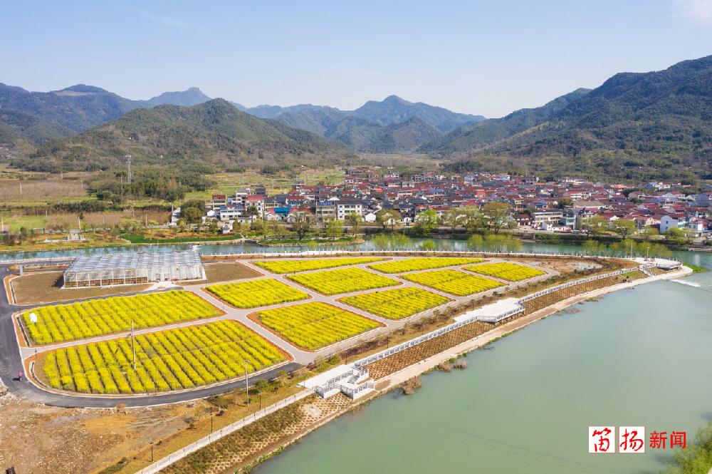 乡村乡愁乡情溪圃田园综合体绘就旖旎王坛画卷