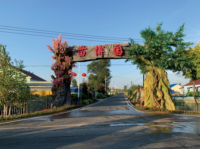 九台区波泥河街道清水村九台区土们岭街道马鞍山村宽城区欣园街道五星