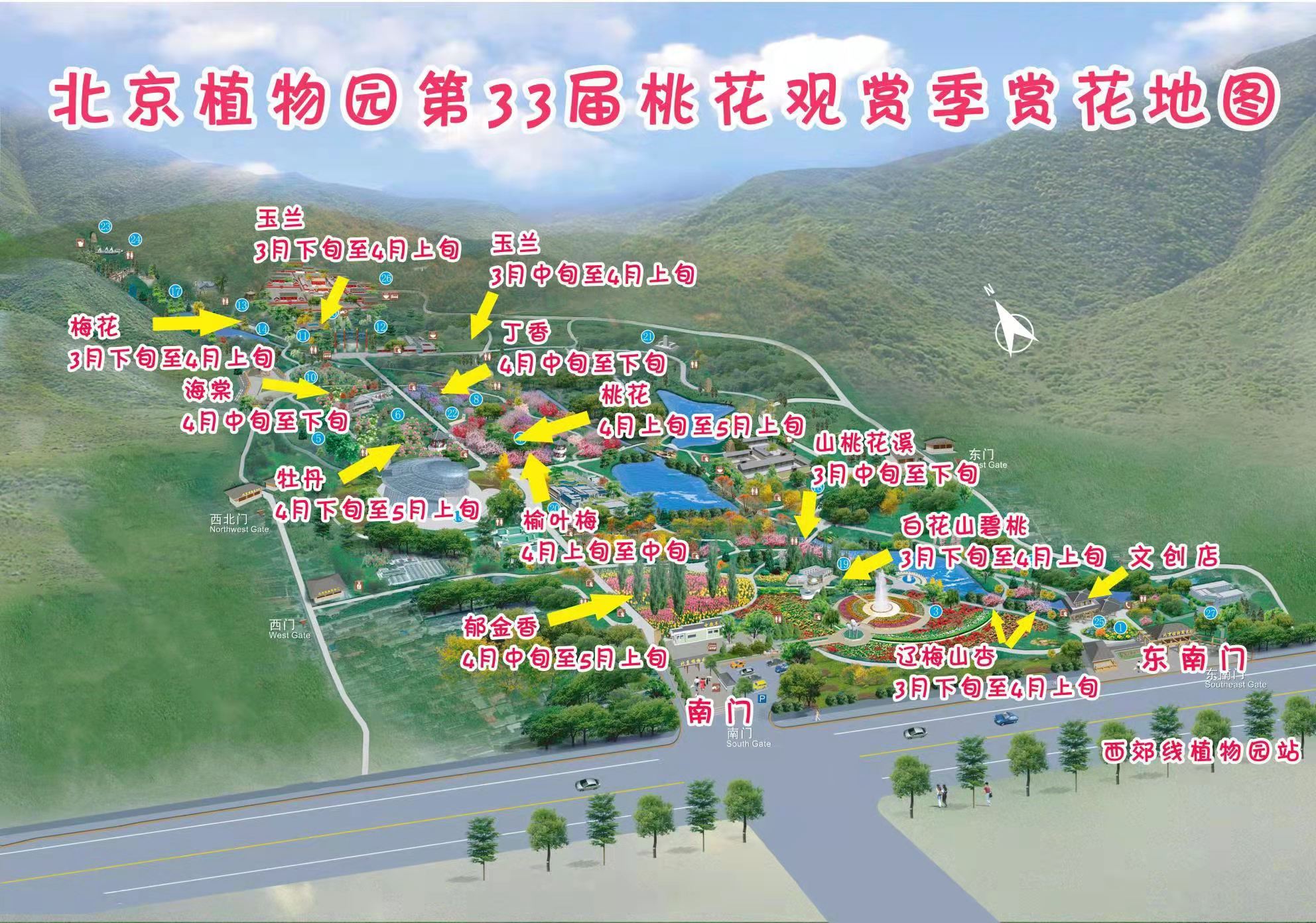 北京植物园桃花观赏季周六开幕附赏花地图