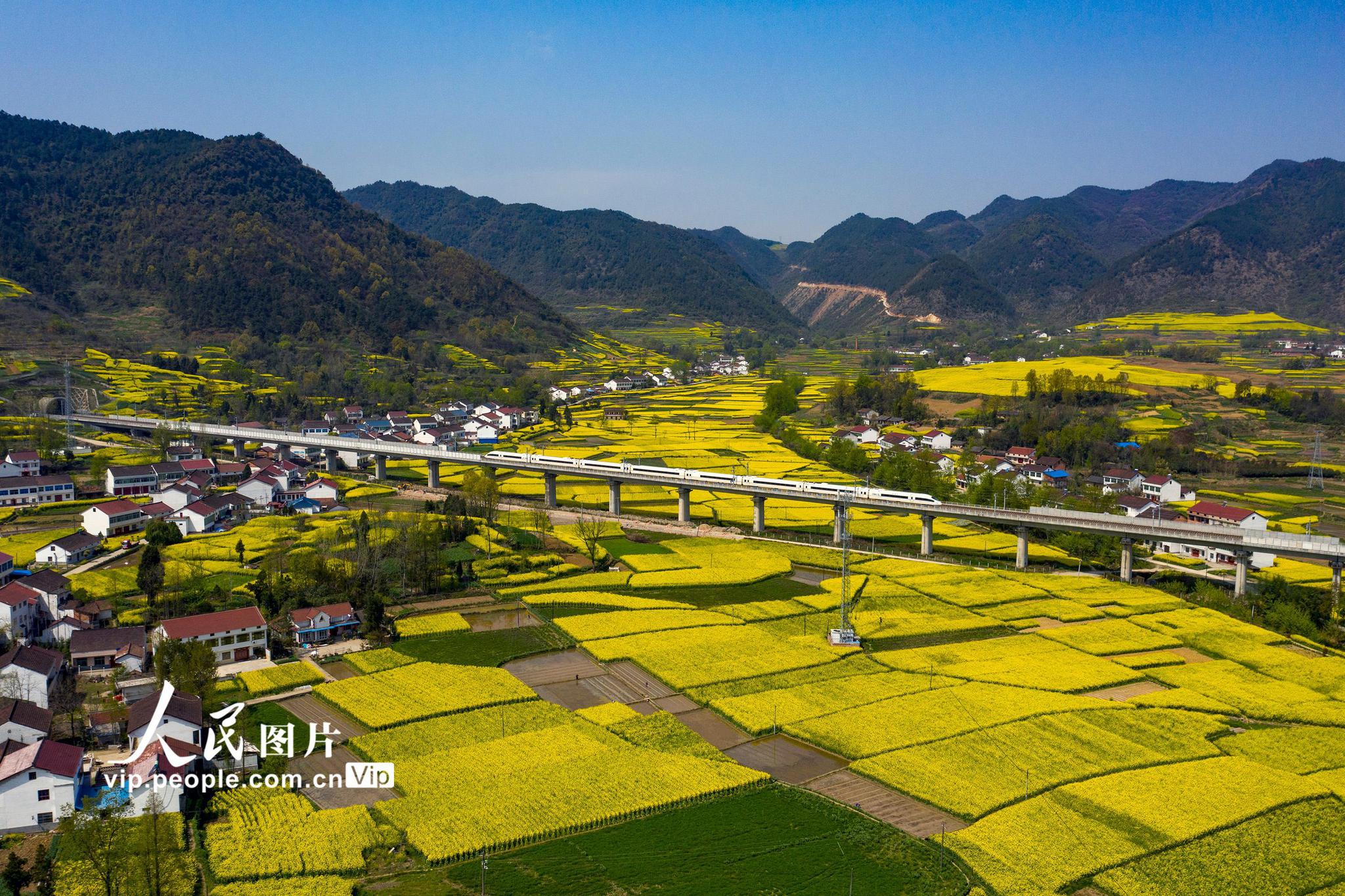 唐振江摄(人民图片网)特别声明:以上文章内容仅代表作者本人观点,不