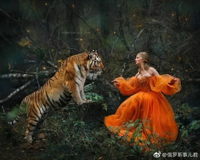 人与动物一起融入自然真美好好像童话里的场景