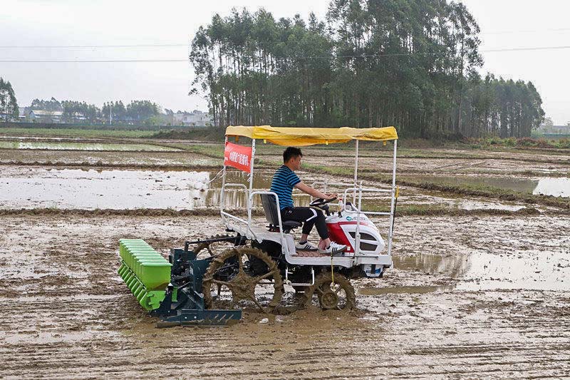 广西农机中心供图水稻智能播种机在田里演示,附近村民,农户围观.