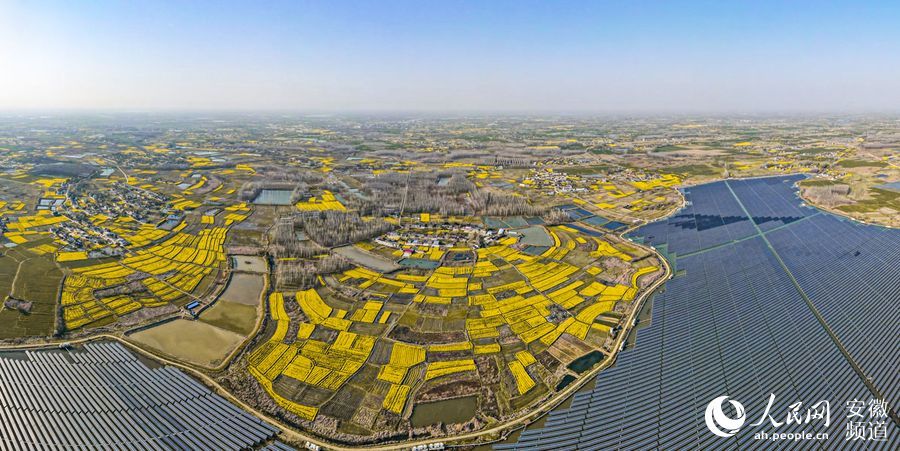 安徽肥东:渔光互补生态美|互补|坡湖|梁园镇_新浪新闻