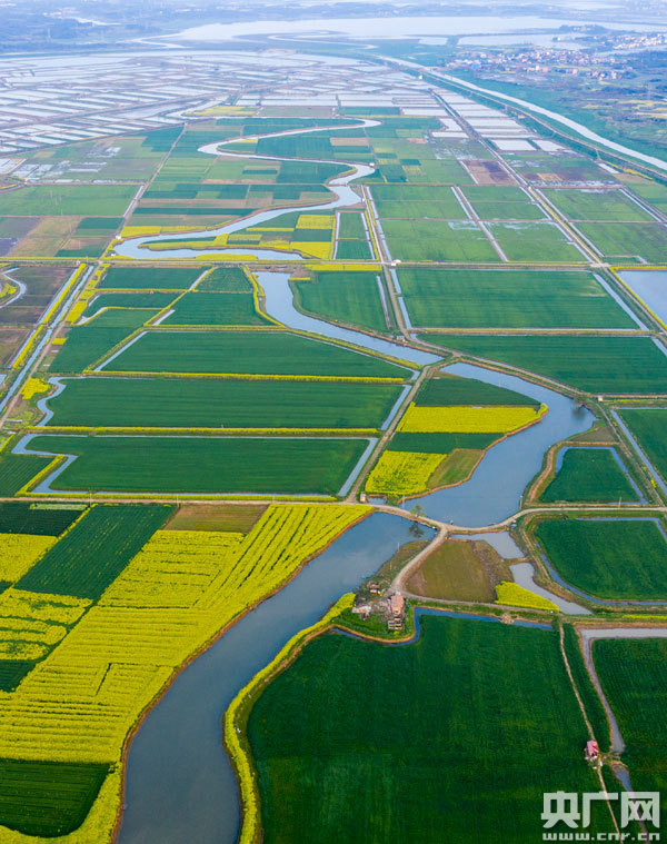 江西省九江市彭泽县芙蓉农场的田园风光