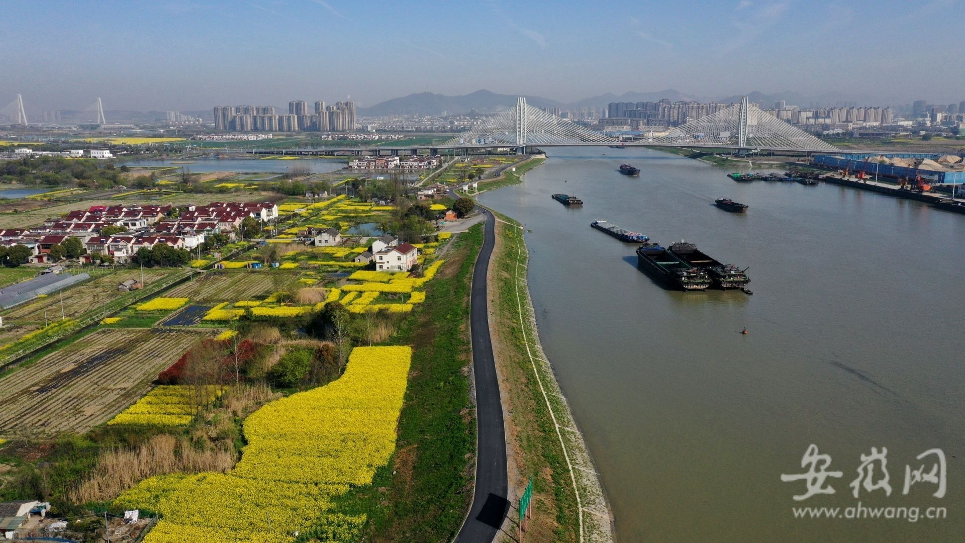 美景如画 巢湖市裕溪河最美河岸线全线贯通