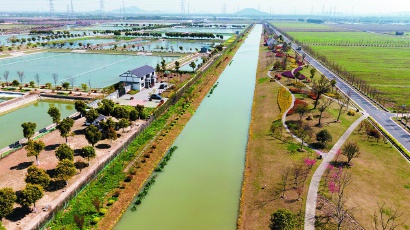 松江区荡湾村通过新建生态斜坡式护岸,水系沟通,种植绿化和水生植物等