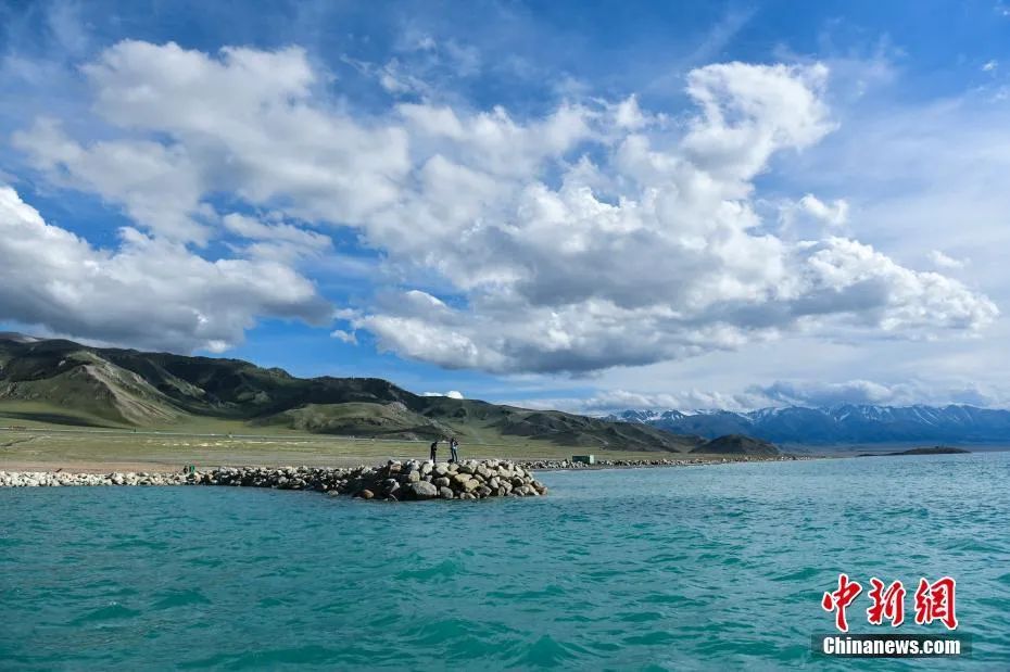 游客在賽里木湖景區(qū)欣賞夏日美景。中新社記者 張興龍 攝