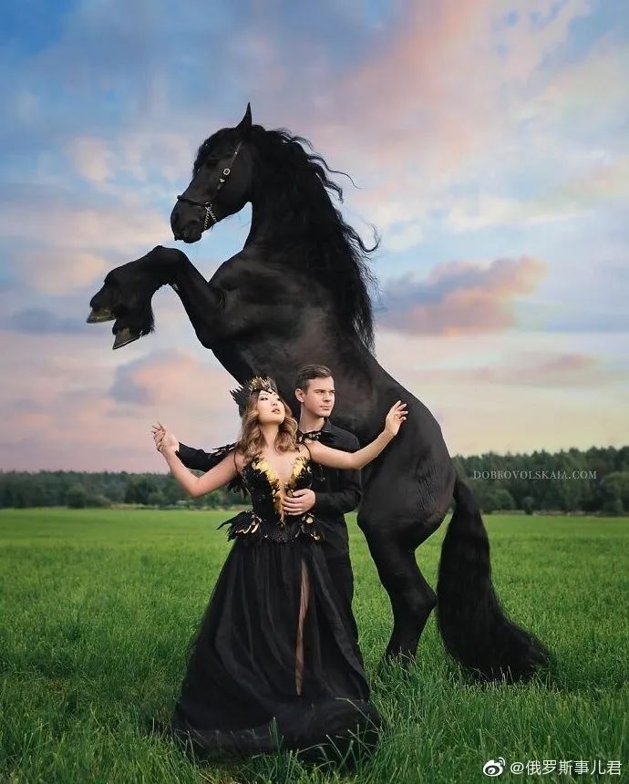 人与动物一起融入自然真美好好像童话里的场景