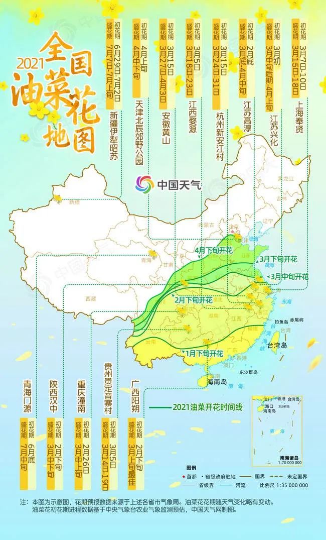 多地油菜花进入最佳观赏期多地迎来油菜花观赏季