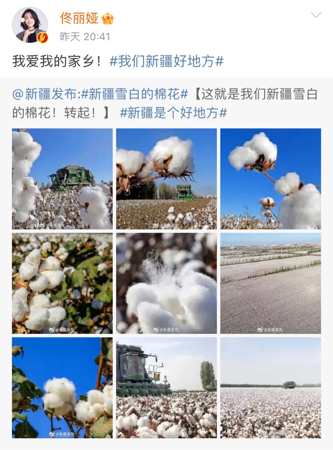 关于新疆棉花的6个事实，了解一下！​陈奕迅、王一博、佟丽娅……这些艺人纷纷发声休闲区蓝鸢梦想 - Www.slyday.coM