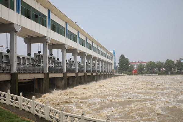 荐读丨斯雄《王家坝记》