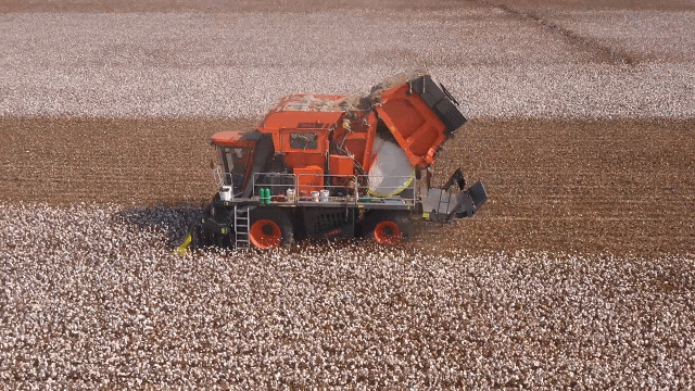 ▲国产采棉打包一体机采收场景