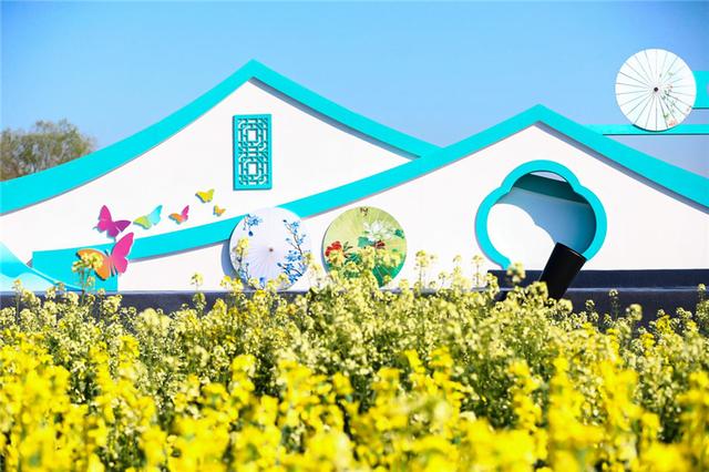 千灯:千亩油菜花写出文旅融合大文章