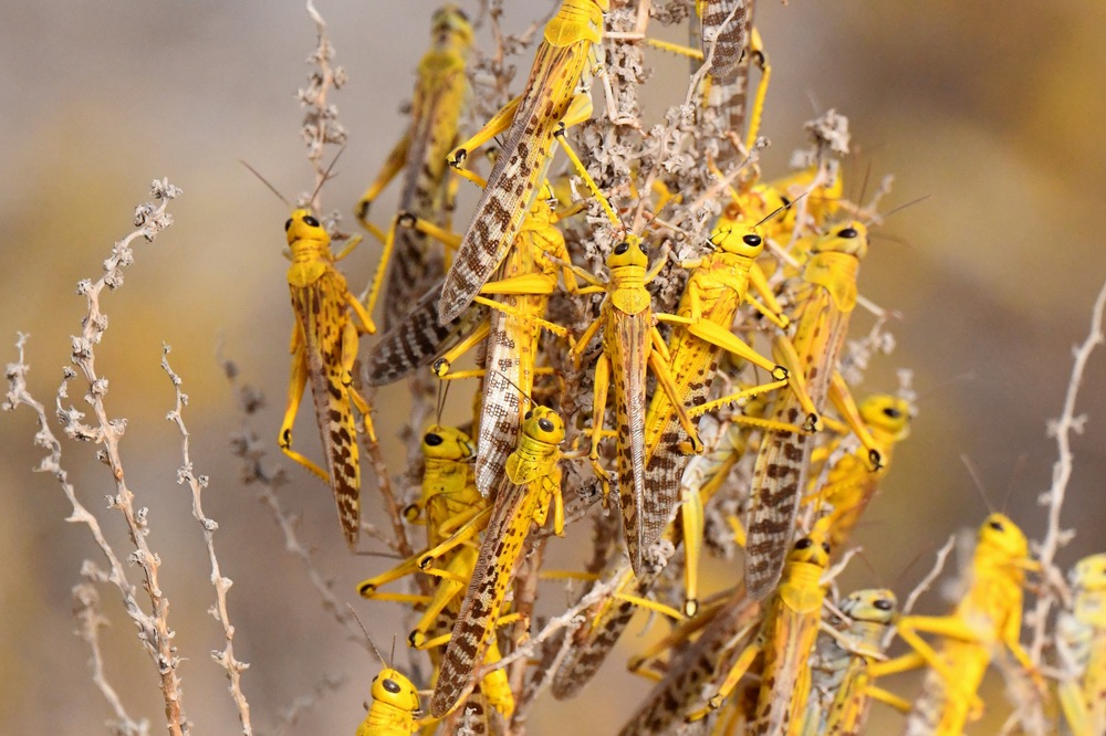 早安·世界｜埃及中止苏伊士运河交通，货船脱浅或需数日休闲区蓝鸢梦想 - Www.slyday.coM