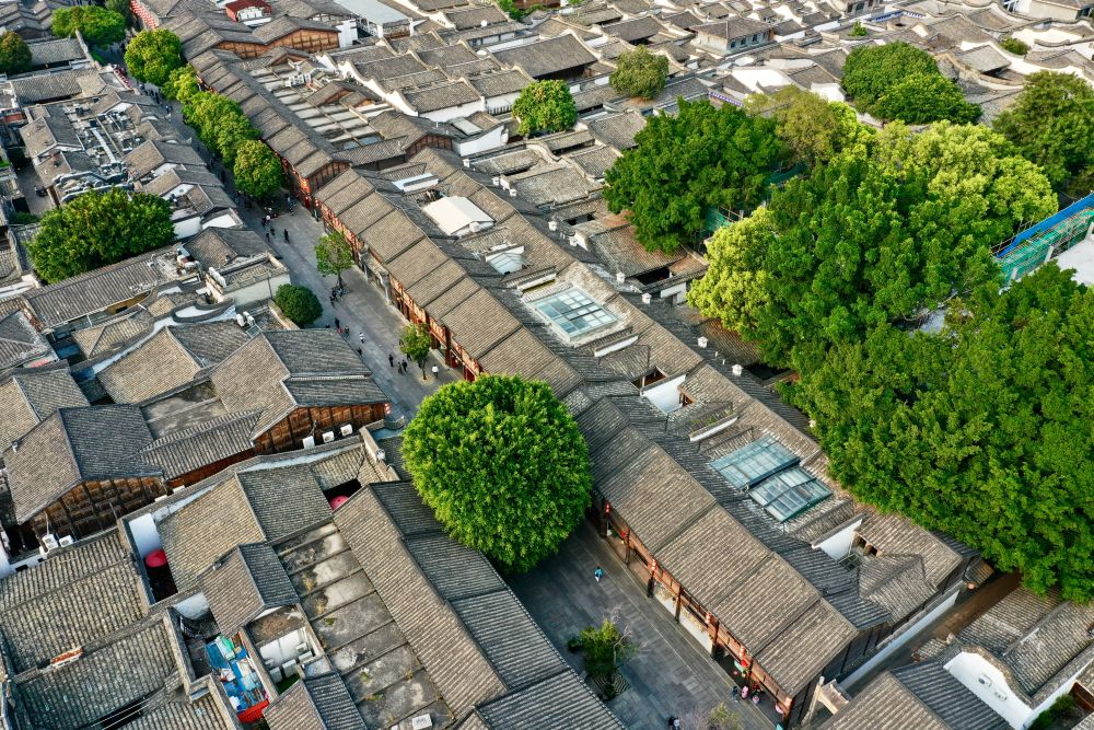 　　福州三坊七巷文化街区的古厝绿树（2021年3月17日摄，无人机照片）。新华社记者 姜克红 摄