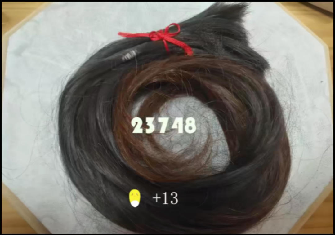 一年要掉多少头发？有人收集了一年发现：损失了一辆宝马！休闲区蓝鸢梦想 - Www.slyday.coM