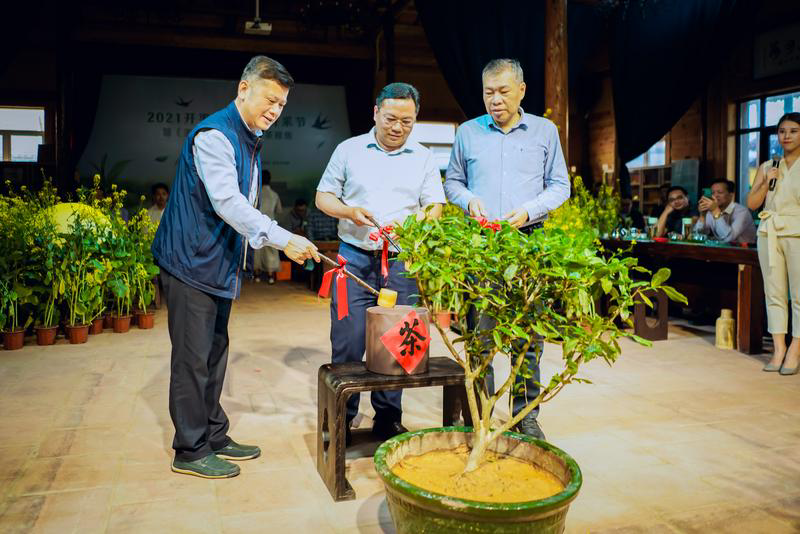 大沙镇gdp_喜讯!开平市大沙镇获全省首个“城市天然氧吧”称号