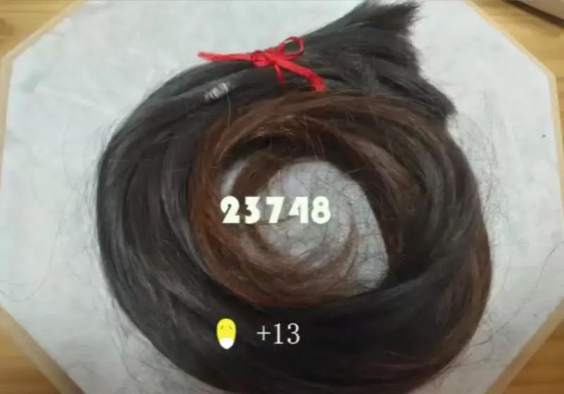 女生一年到底要掉多少头发？还真有人数了！休闲区蓝鸢梦想 - Www.slyday.coM